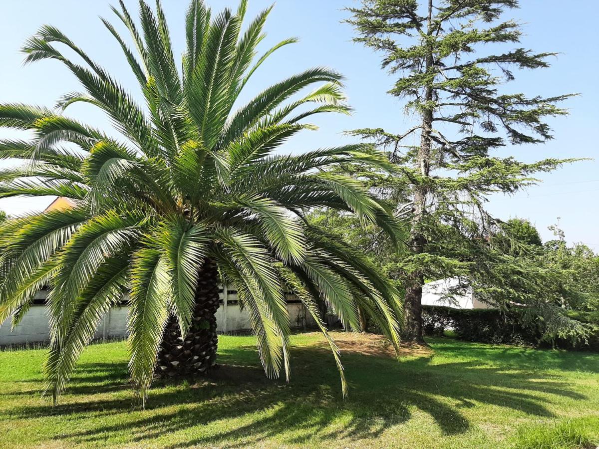Casa De Verano La Gaviota En Asturias Villaviciosa  Exteriér fotografie